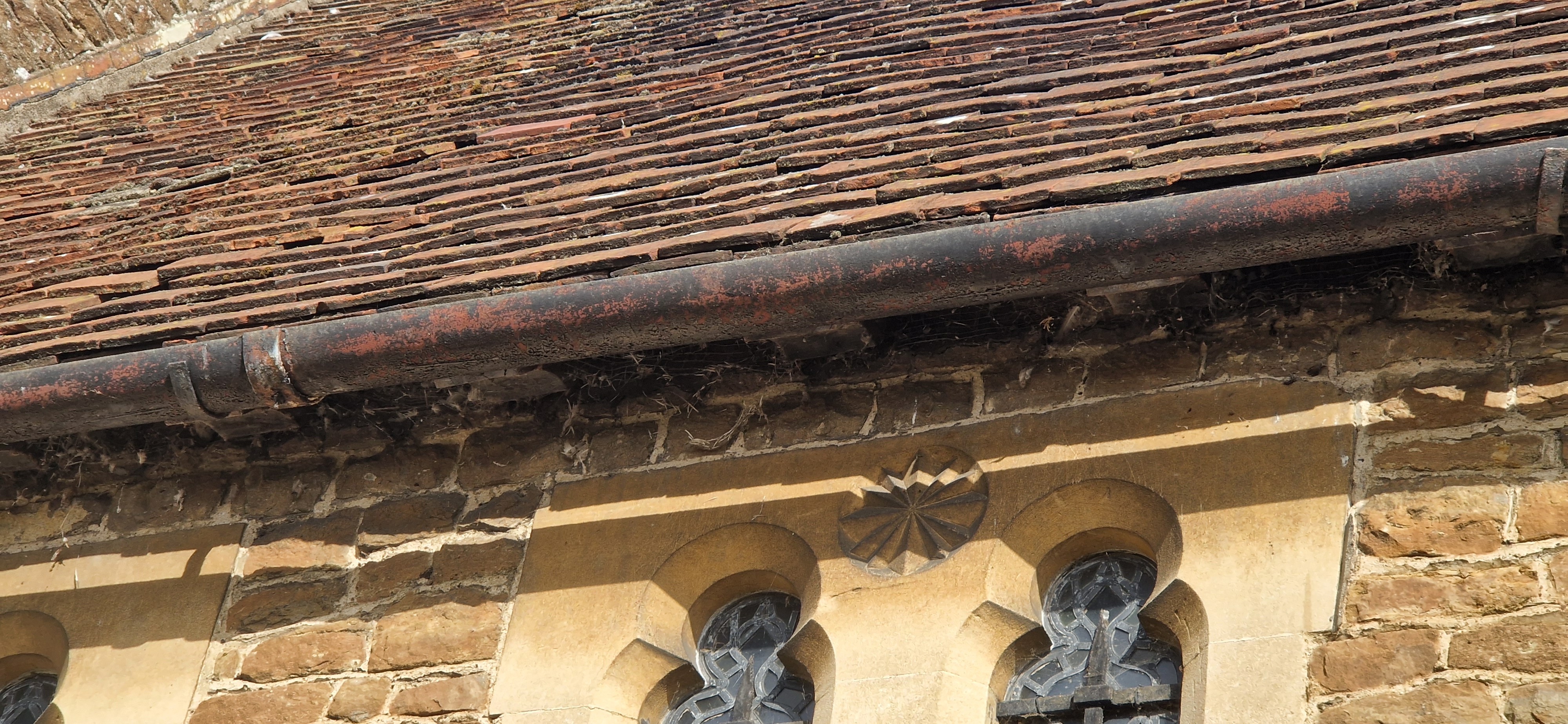 Gutter close up