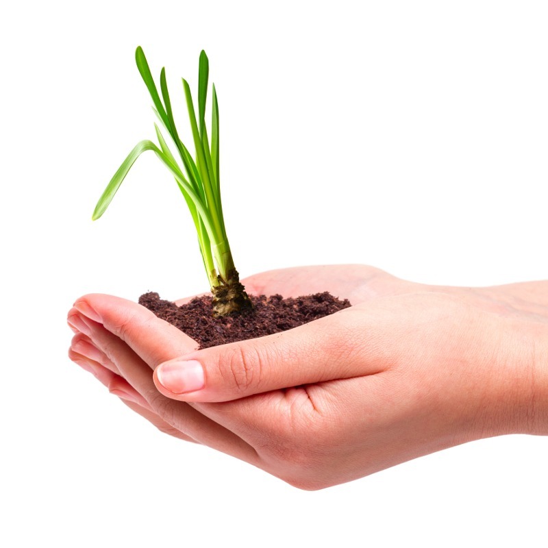 shutterstock160565801-new-grow